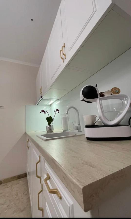 Apartamente Cu Un Dormitor Timişoara Exteriör bild